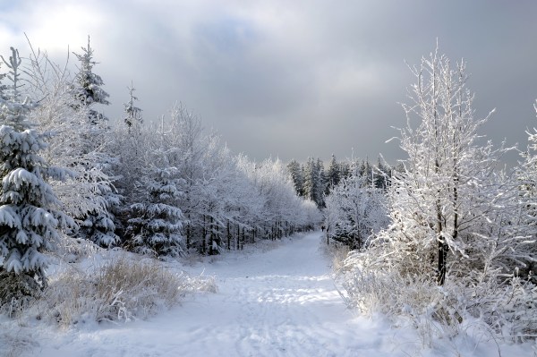 Moravian Beskids in winter by Marcin Szala CC BY-SA 4.0, via Wikimedia Commons