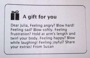 Operating instructions