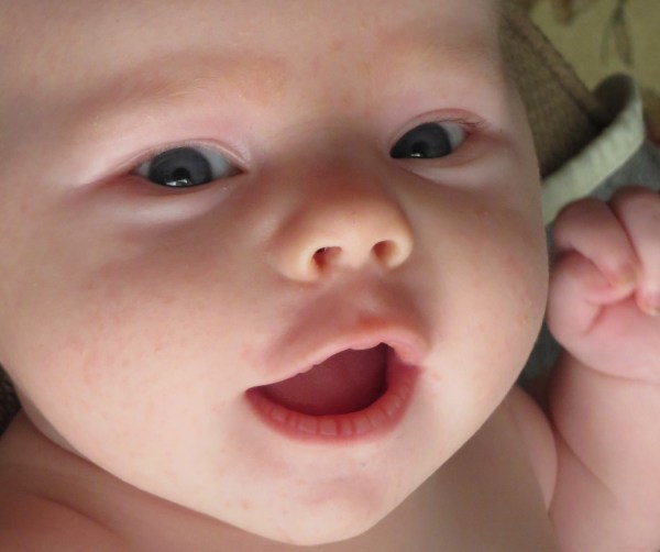 Owen tries hard to say hello, July 2, 2016.