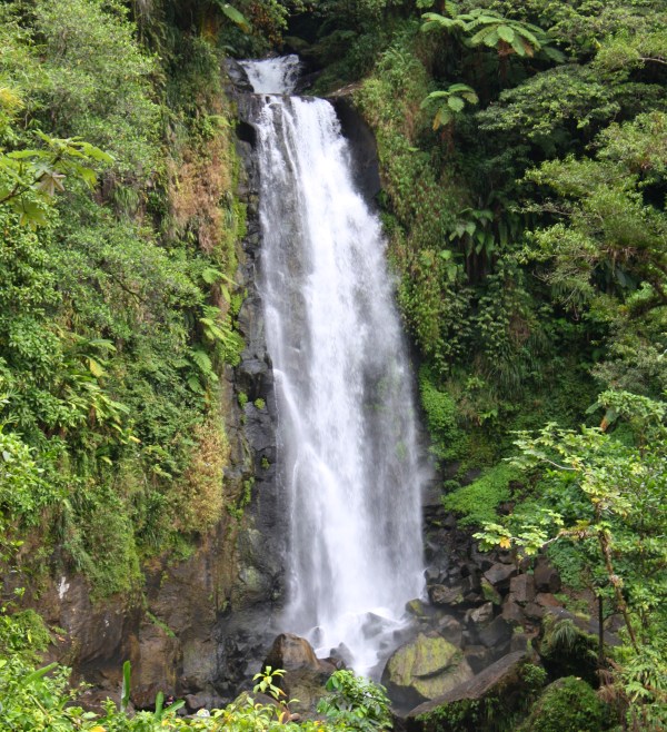 Trafalgar Falls, Dominica, March 2010