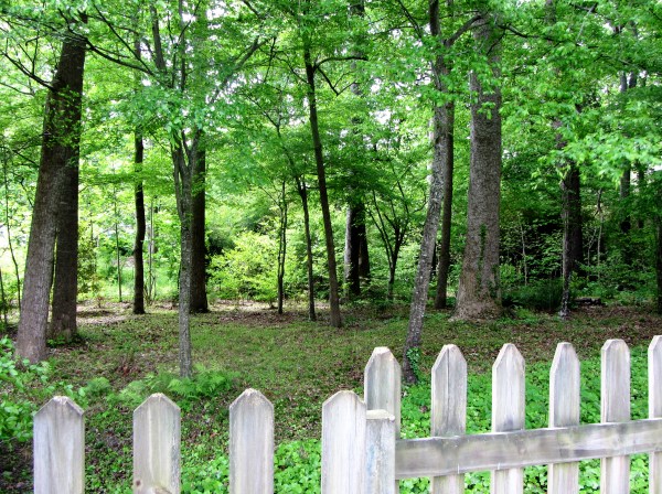 Our own little wonderland, right behind our back fence, as seen in May 2013 