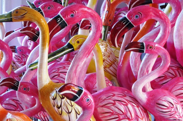 This display of flamingos caught my eye in Cozumel, Mexico, January 2015.