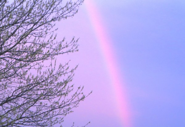I photographed this rainbow on the evening of April 4, 2016.