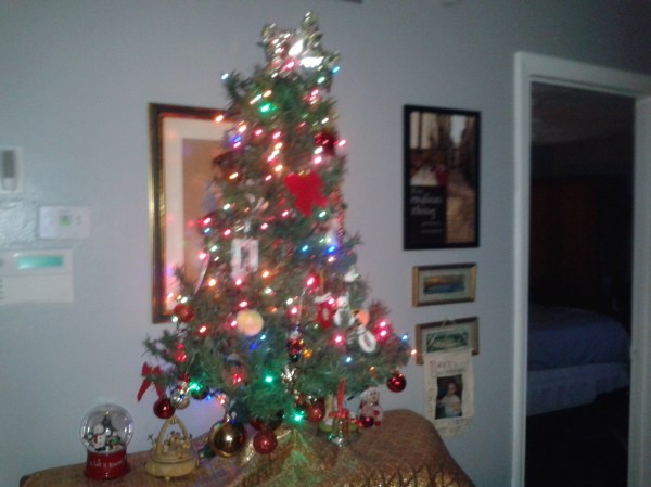 Patricia sends her Christmas greetings to us, along with a photo of her glowing tree.