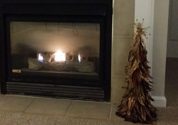 A friend gave Susan this feather tree for her new apartment.