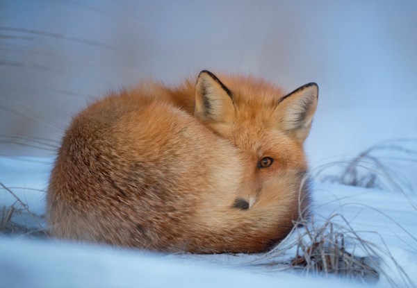 Photo by Ray Hennessy via Unsplash.com