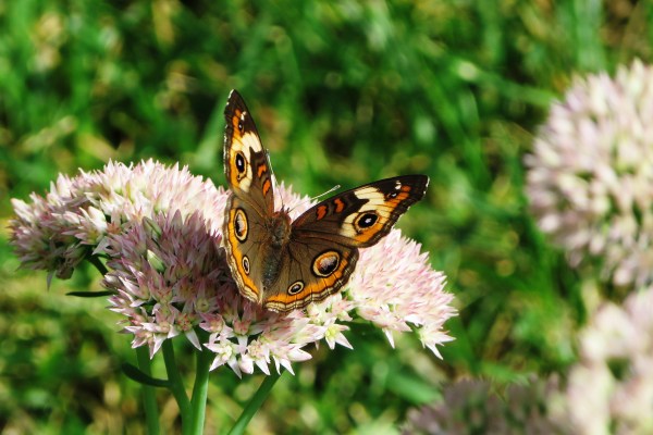 An infinitely brief moment that did not slip by. Alexandria, September 2016.