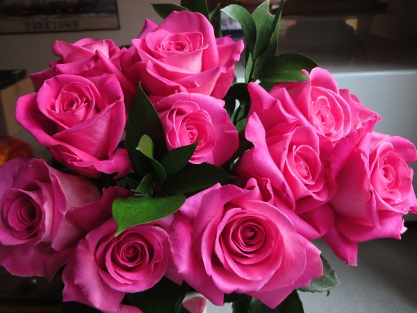 Carla made sure that I had flowers for Valentine's Day this year. February 2017